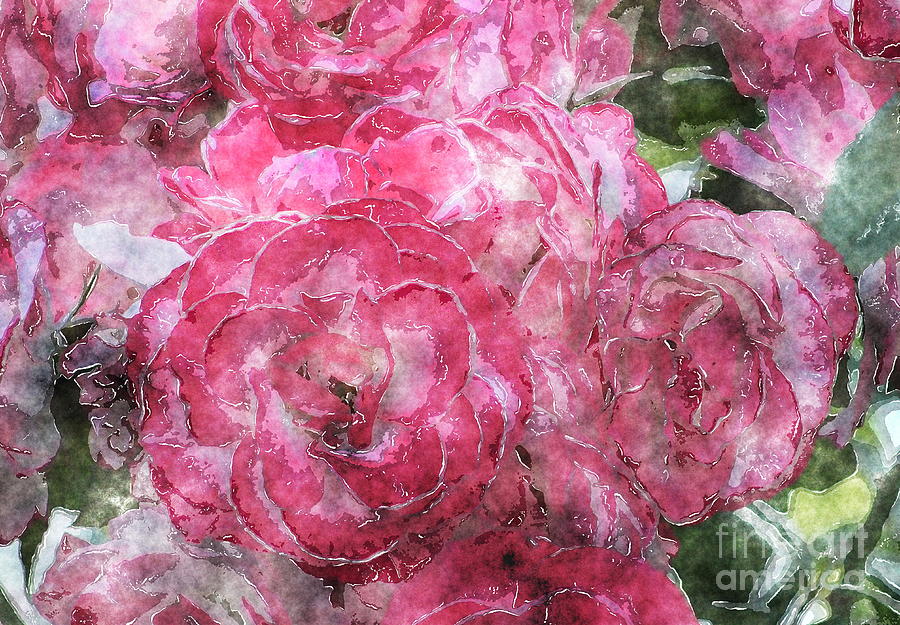 Iceberg Roses with Watercolor Effects Photograph by Sea Change Vibes