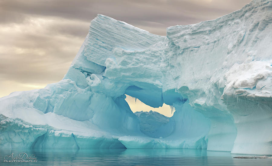 Iceberg VI Photograph by Andrew Dickman