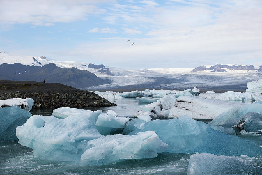 Icebergs at Jokulsarlon glacier lagoon Photograph by RicardMN Photography
