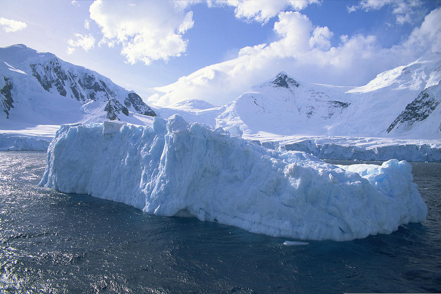 Icebergs in ocean , Antarctica Photograph by Comstock Images