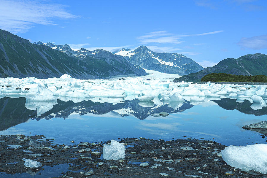 Icebergs of Bear Glacier Lagoon, Alaska Photograph by Leslie Struxness