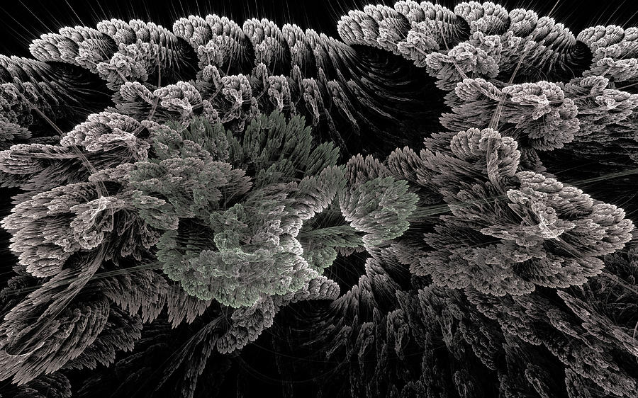 Iced Blossoms Digital Art by Gary Blackman