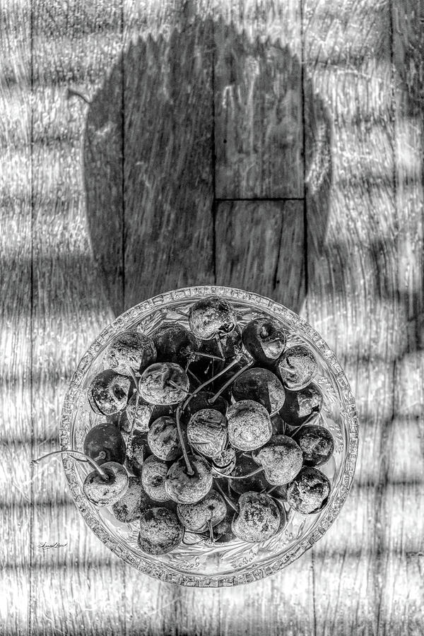 Iced Cherries in Bowl BW Photograph by Sharon Popek