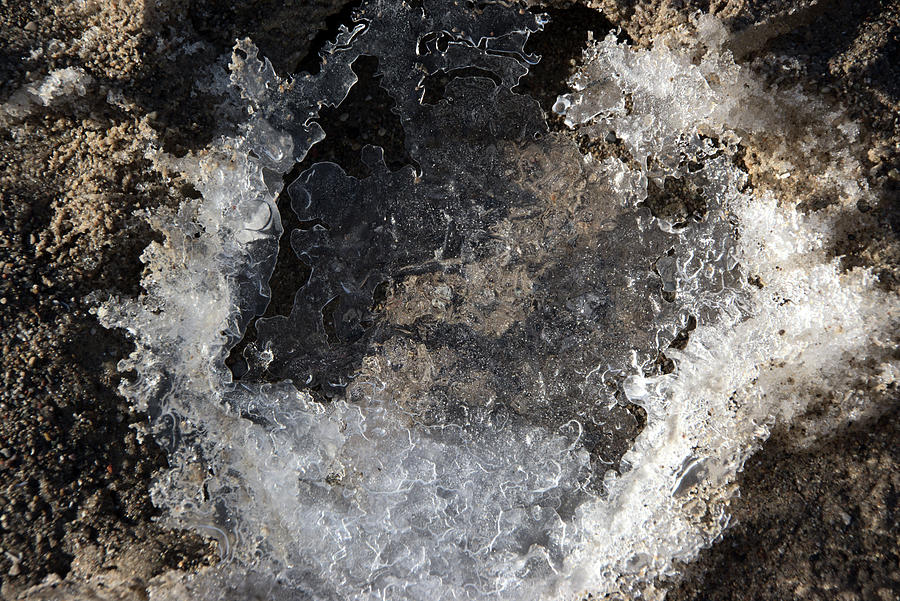 Iced Puddle On The Beach Photograph