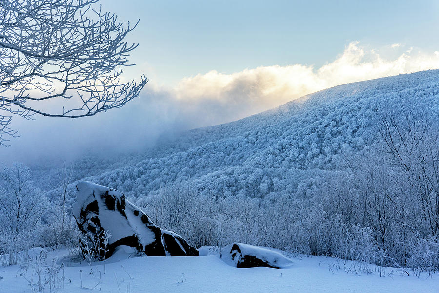 Iced Sunrise Photograph by Dawnfire Photography - Fine Art America