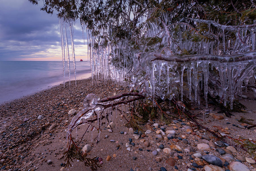 Iced up Photograph by David Heilman