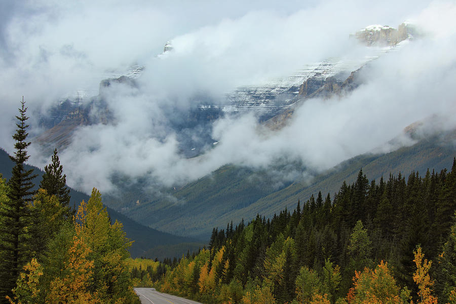 Icefields Parkway In Autumn Photograph by Dan Sproul