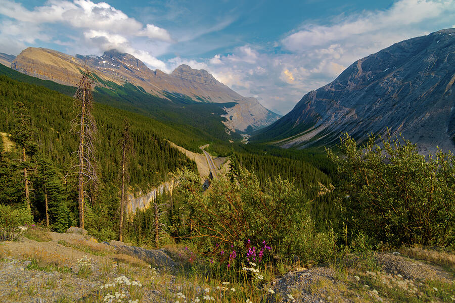Icefields Parkway Mountains Photograph by Norma Brandsberg