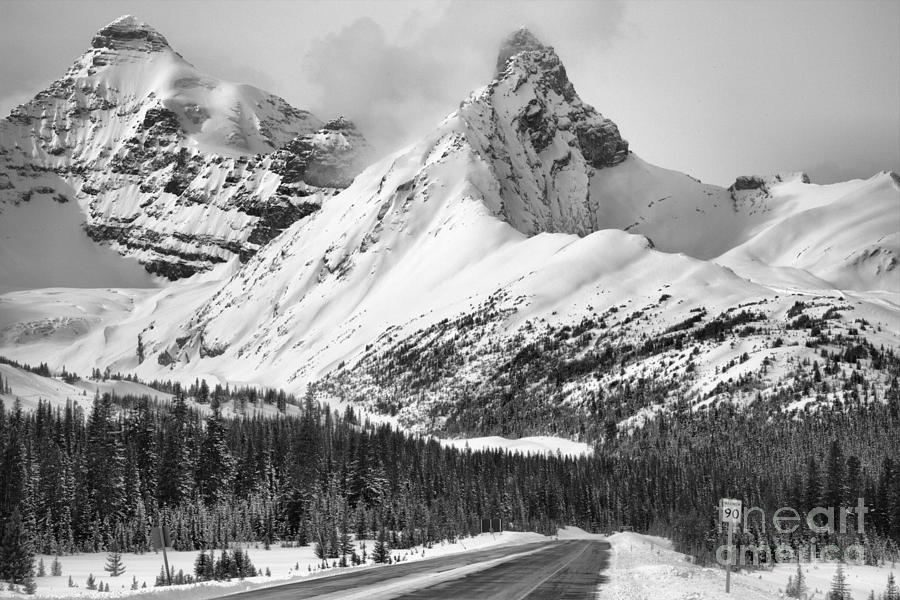 Icefields Parkway Scenic Winter View Black And White Photograph by Adam Jewell