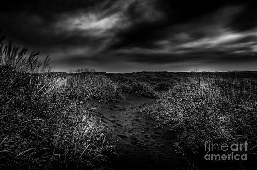 Iceland Black Sand Dunes at Vestrahorn 2 Photograph by M G Whittingham