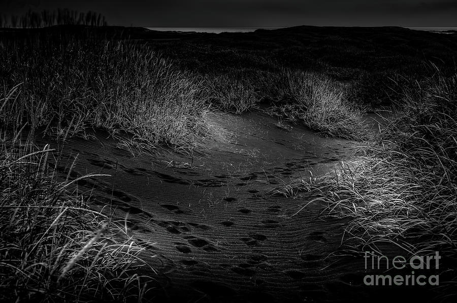 Iceland Black Sand Dunes at Vestrahorn 3 Photograph by M G Whittingham