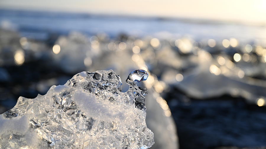 Iceland Diamond Beach Ice Swan Photograph by William Kennedy