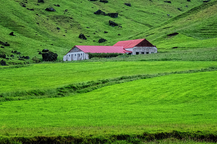Iceland Farm Photograph by Tom Singleton
