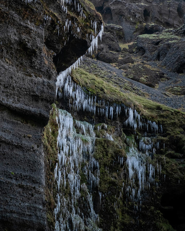 Iceland Icicles Photograph by Catherine Reading