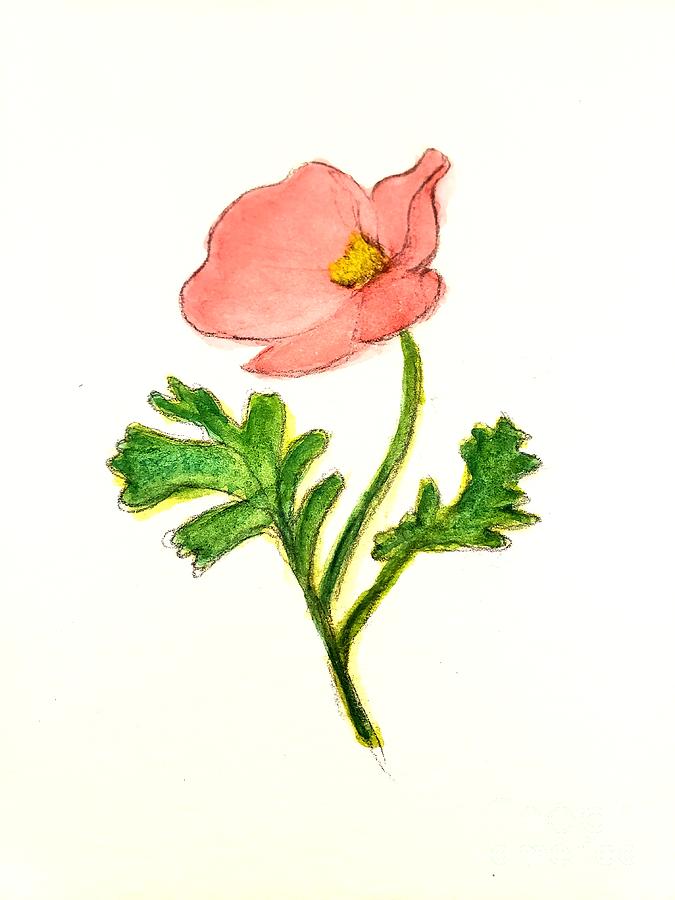 Iceland Poppy Painting by Margaret Welsh Willowsilk