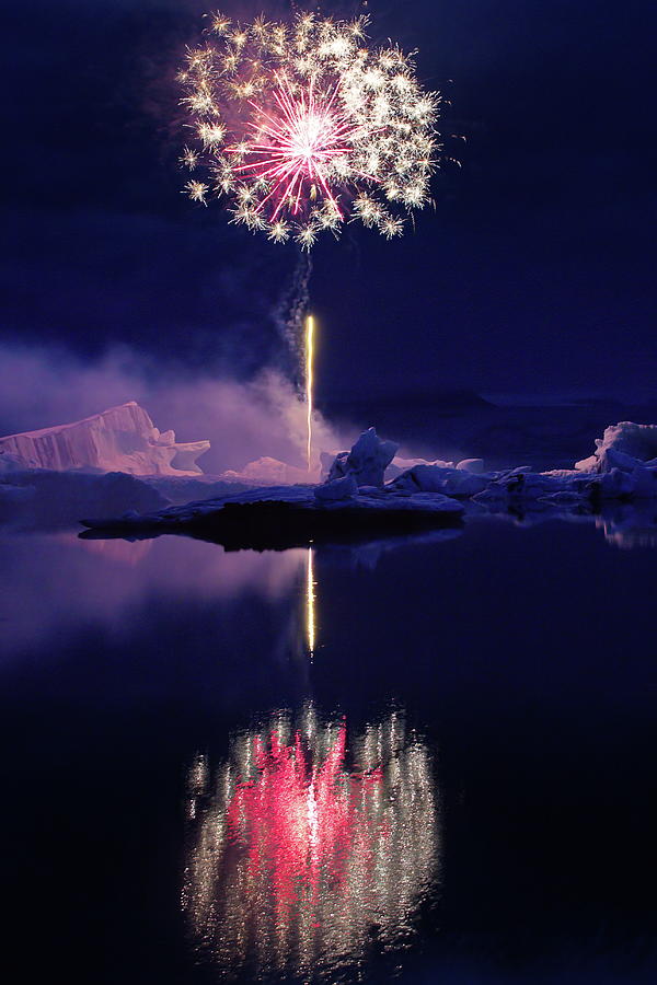 Icelandic dandelion Photograph by Christopher Mathews