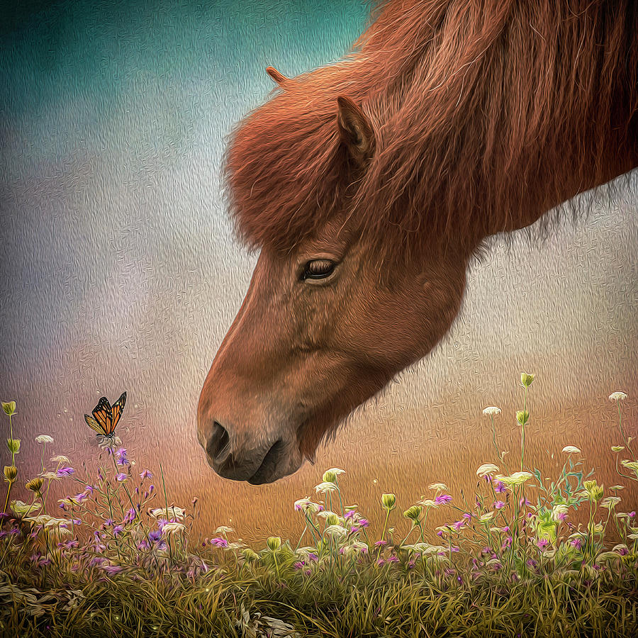Icelandic Horse Digital Art by Maggy Pease