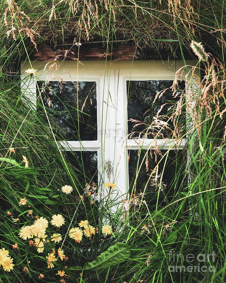 Flower Photograph - Icelandic Window by Roxie Crouch