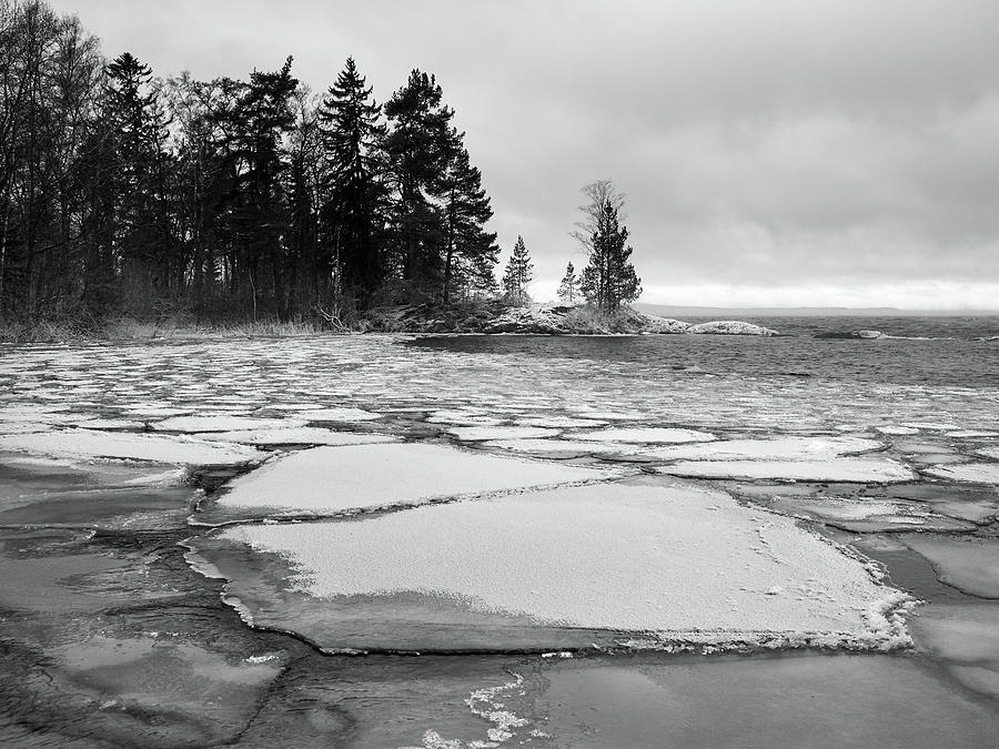 Iceplates and the forest bw Photograph by Jouko Lehto