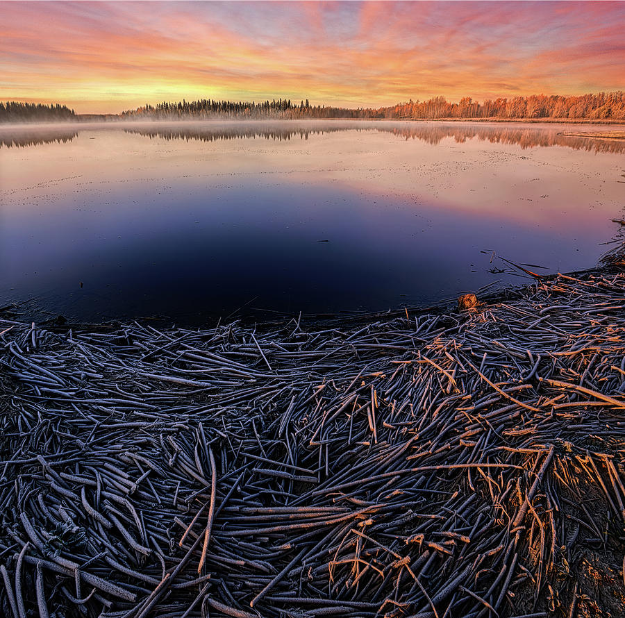 Icey Autumn Morning on the Lake Photograph by Dan Jurak