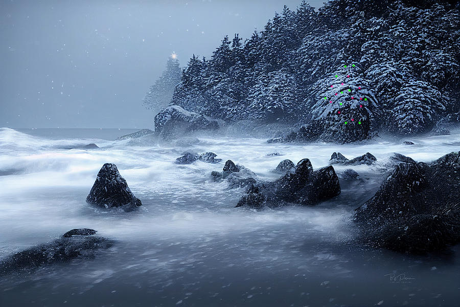 Icey Coastal Holiday Digital Art by Bill Posner