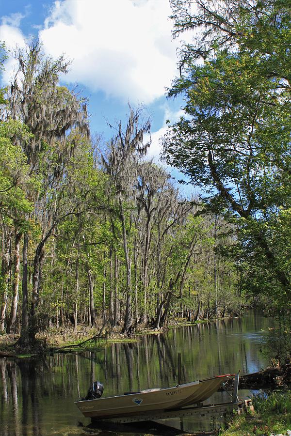 Ichetucknee River 5 Photograph by David Beard - Fine Art America