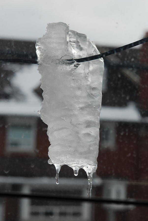 Icicle Cold Photograph
