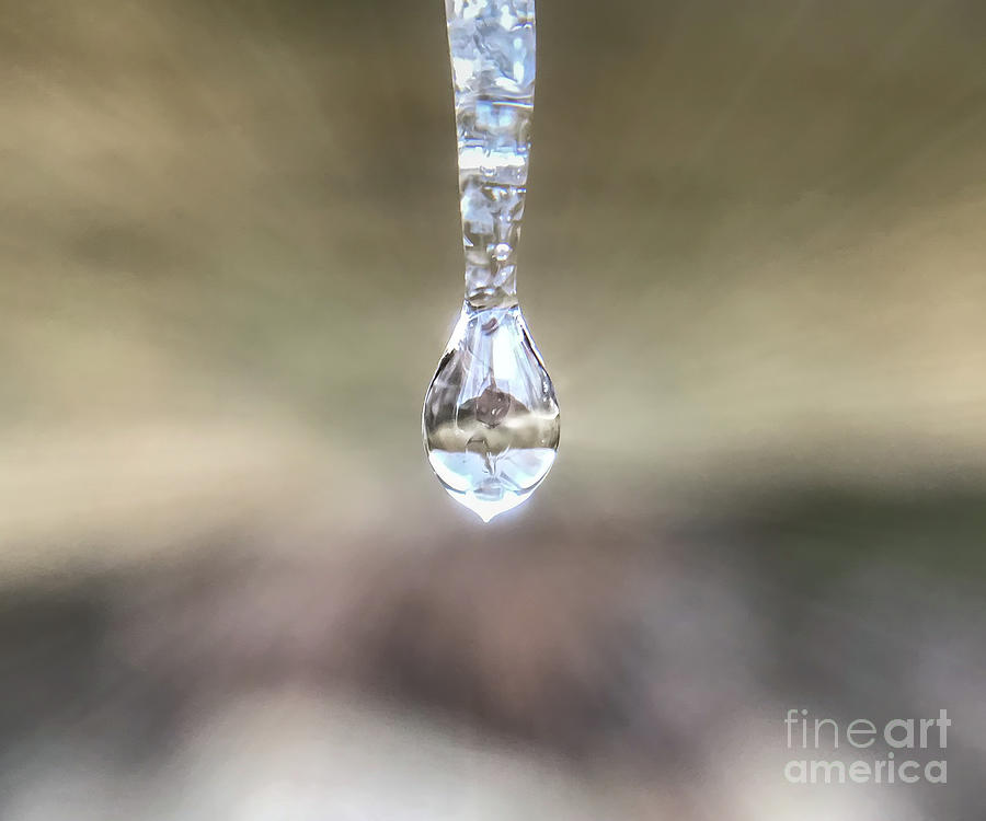 Icicle Drop Reflection Photograph by Peggy Franz