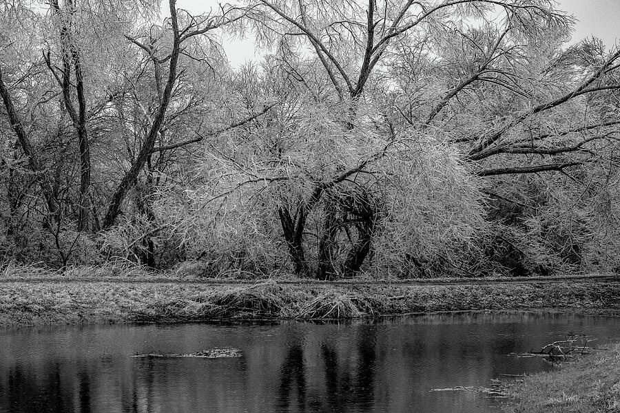Icicle-Laden Trees and Pond Reflections in Austins Winter Storm Photograph by Brigitte Blanchette Thompson Icicle-Laden Trees and Pond Reflections in Austins Winter Storm Photograph by Brigitte Blanchette Thompson