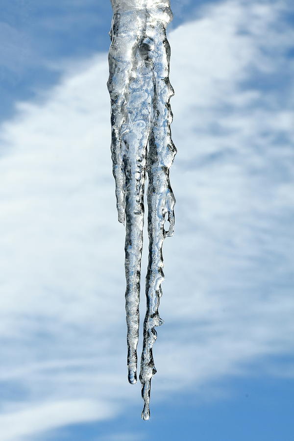 Winter Photograph - Icicle Sparkle by Diane Zucker