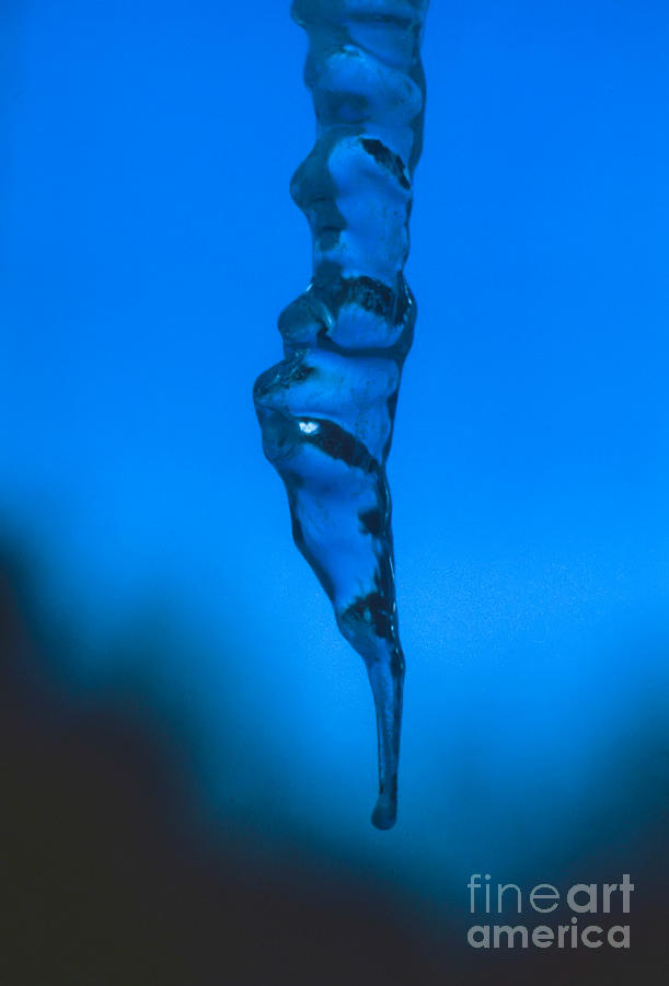 Icicle With Blue Background Photograph by Thomas Marchessault