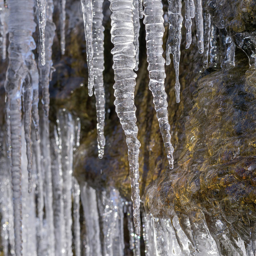 Icicles Photograph by David R Robinson