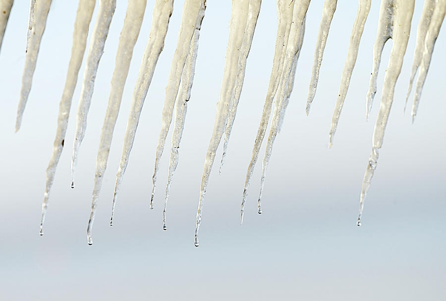 Icicles Photograph by David Trood