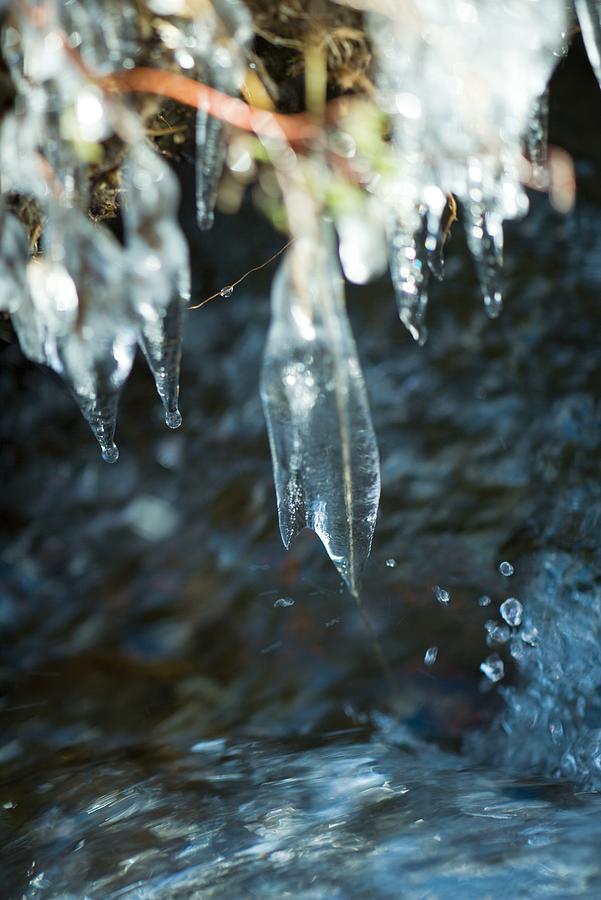Icicles hanging over stream, extreme close-up Photograph by PhotoAlto/Laurence Mouton