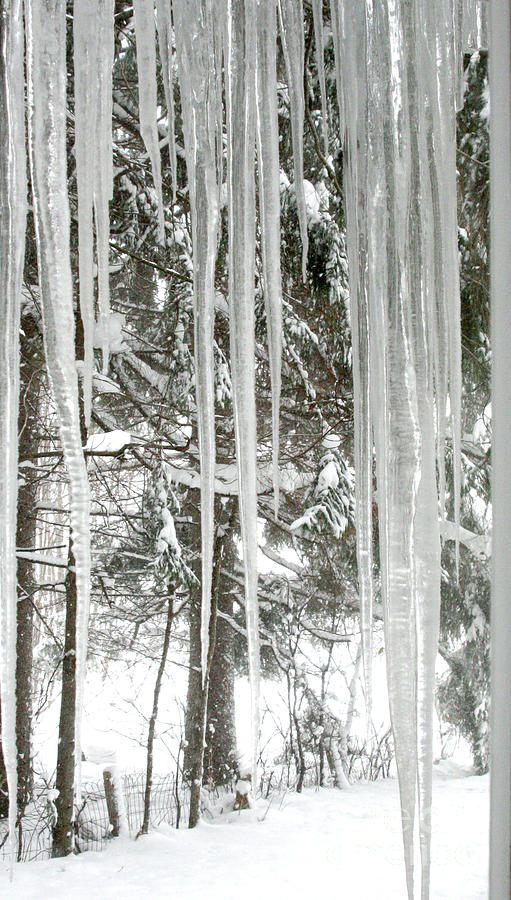 Icicles Photograph by Mariarosa Rockefeller