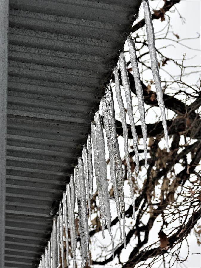 Icicles on a Tin Roof Photograph by Amanda R Wright
