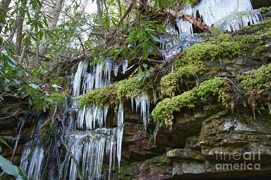 Icicles on Gorge Wall Photograph by Phil Perkins
