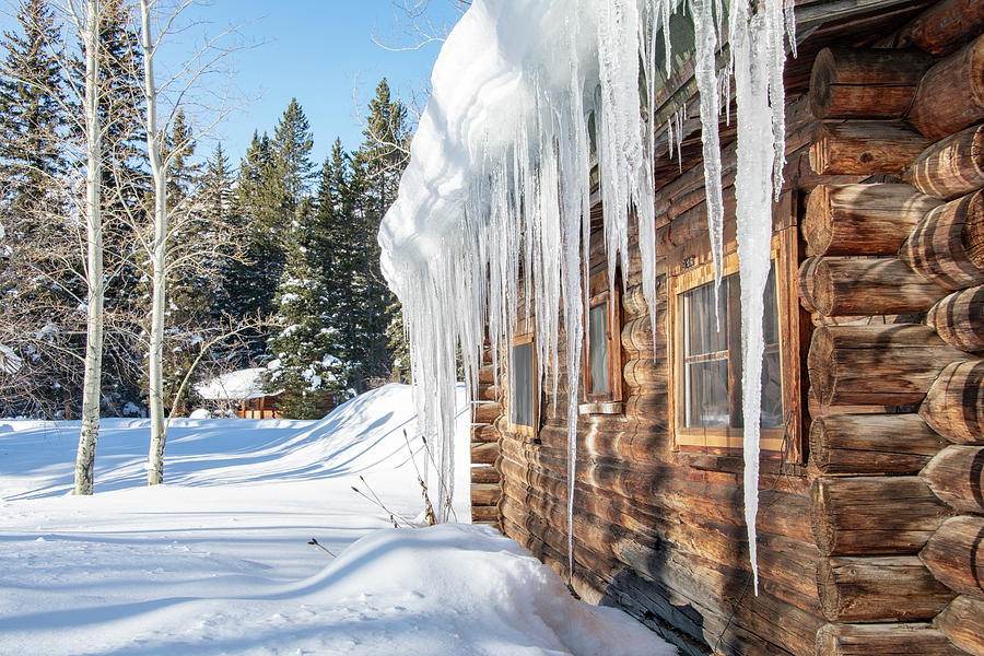 Icicles on the Cabin, Winter in Grand Tetons National Park Photograph by Marcy Wielfaert