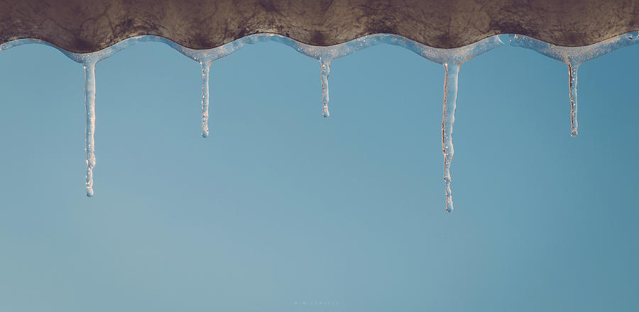 Winter Photograph - Icicles by Wim Lanclus
