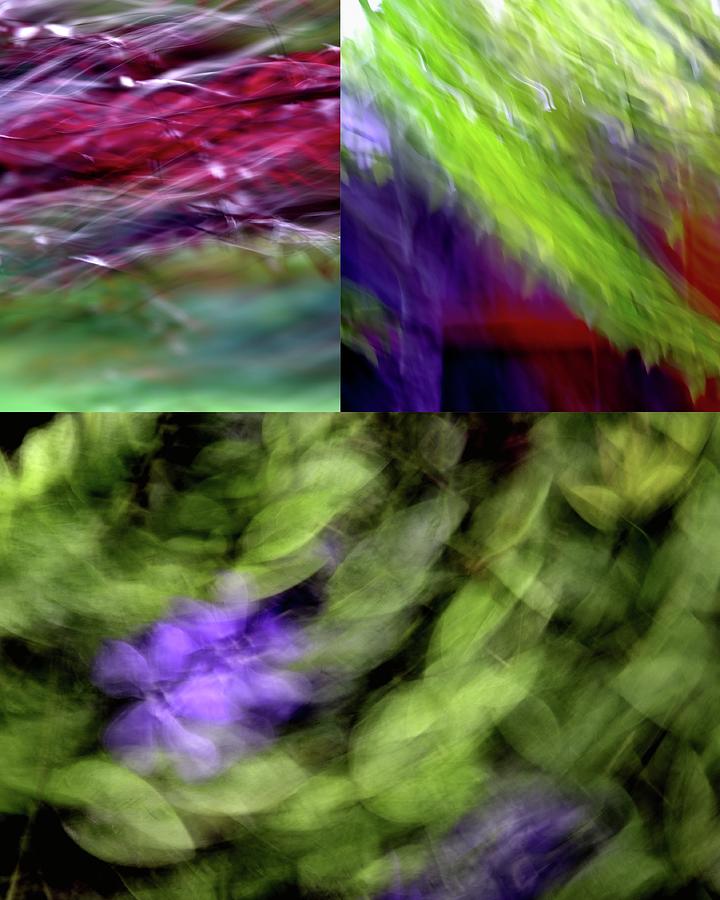 ICM Collage Photograph by Jerry Sodorff