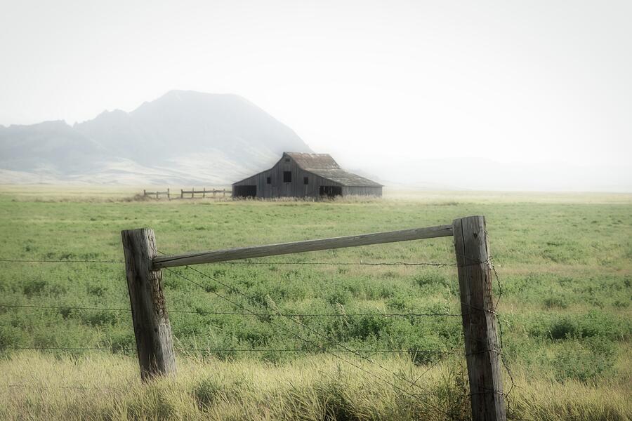 Barn Photograph - Iconic Barn with Big Bear Butte 01  by Willow Grace Images