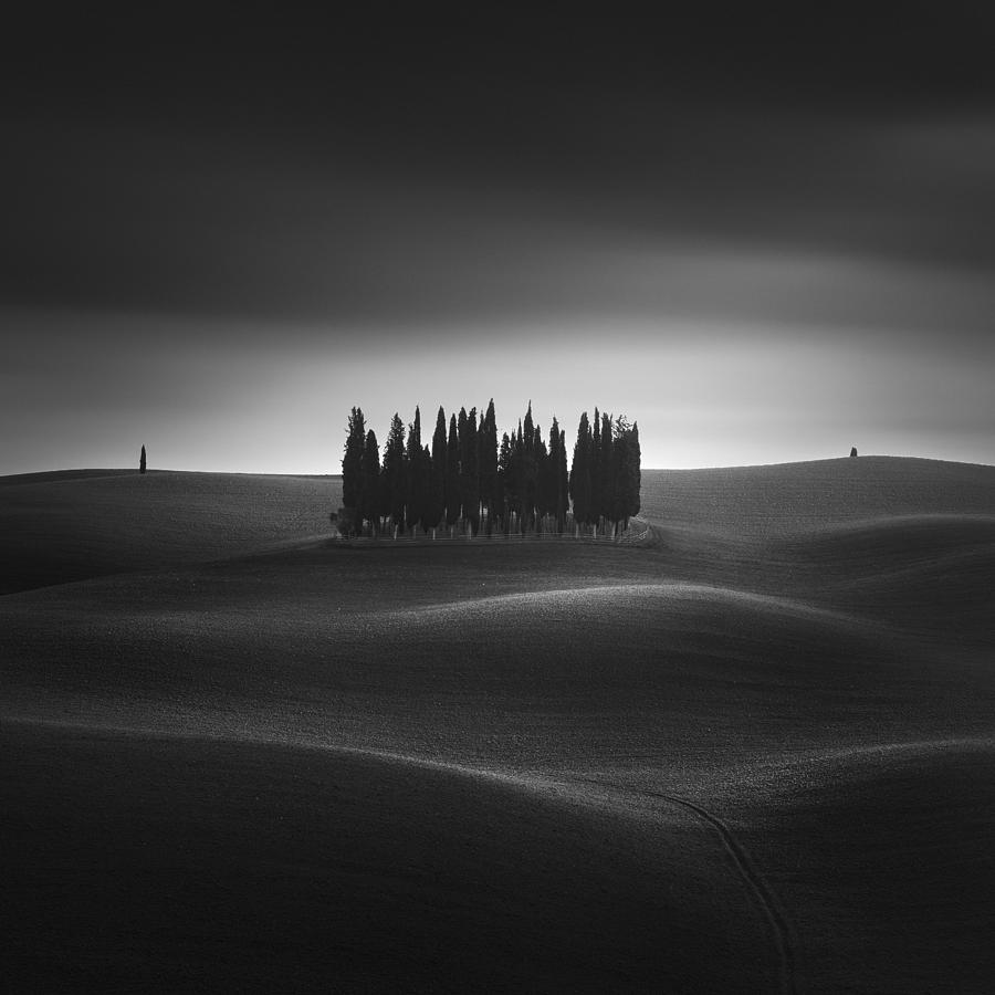 Iconic Cypresses of San Quirico. Tuscany Photograph by Stefano Orazzini