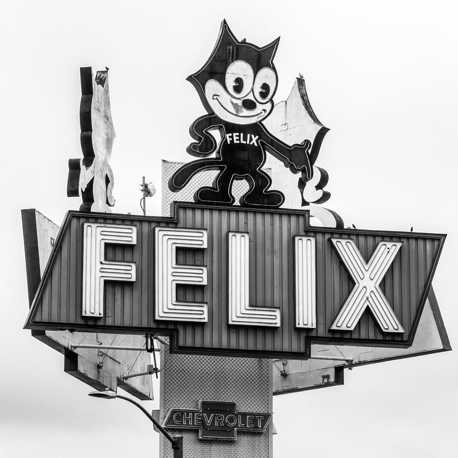 Iconic Felix Sign Photograph by Art Block Collections