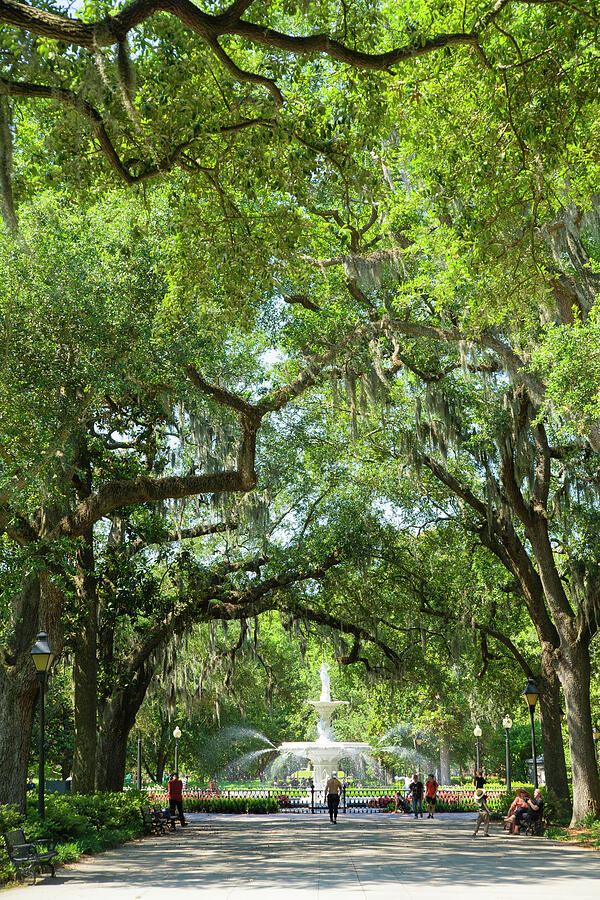 Iconic Forsyth Park Fountain Savannah Georgia Vertical Photograph by ...