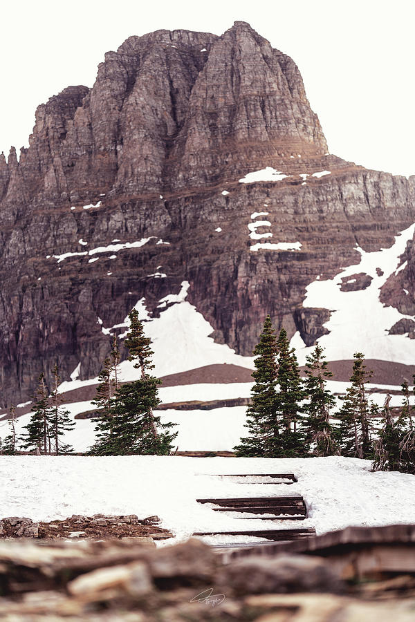 Iconic Logan Pass Photograph by William Boggs
