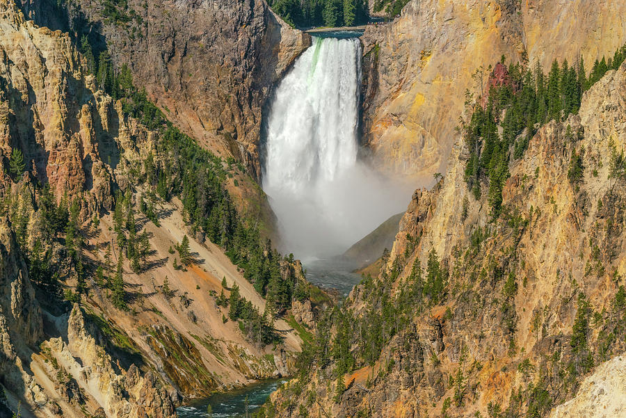 Iconic Lower Yellowstone Falls Photograph by Yeates Photography