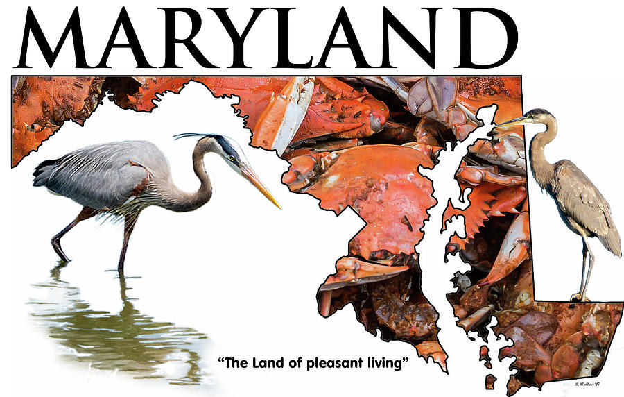 Iconic Maryland Photograph by Brian Wallace