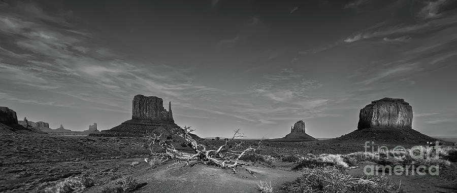 Iconic Monument Valley Photograph by John Kain