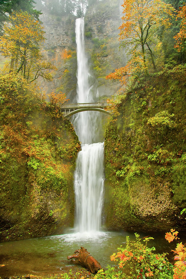 Autumn Colors at Multnomah Falls Photograph by Pauline Hall