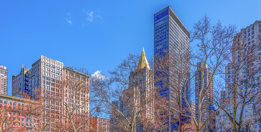 Iconic New York City, Viewed From Madison Avenue Park Photograph by Marcy Wielfaert